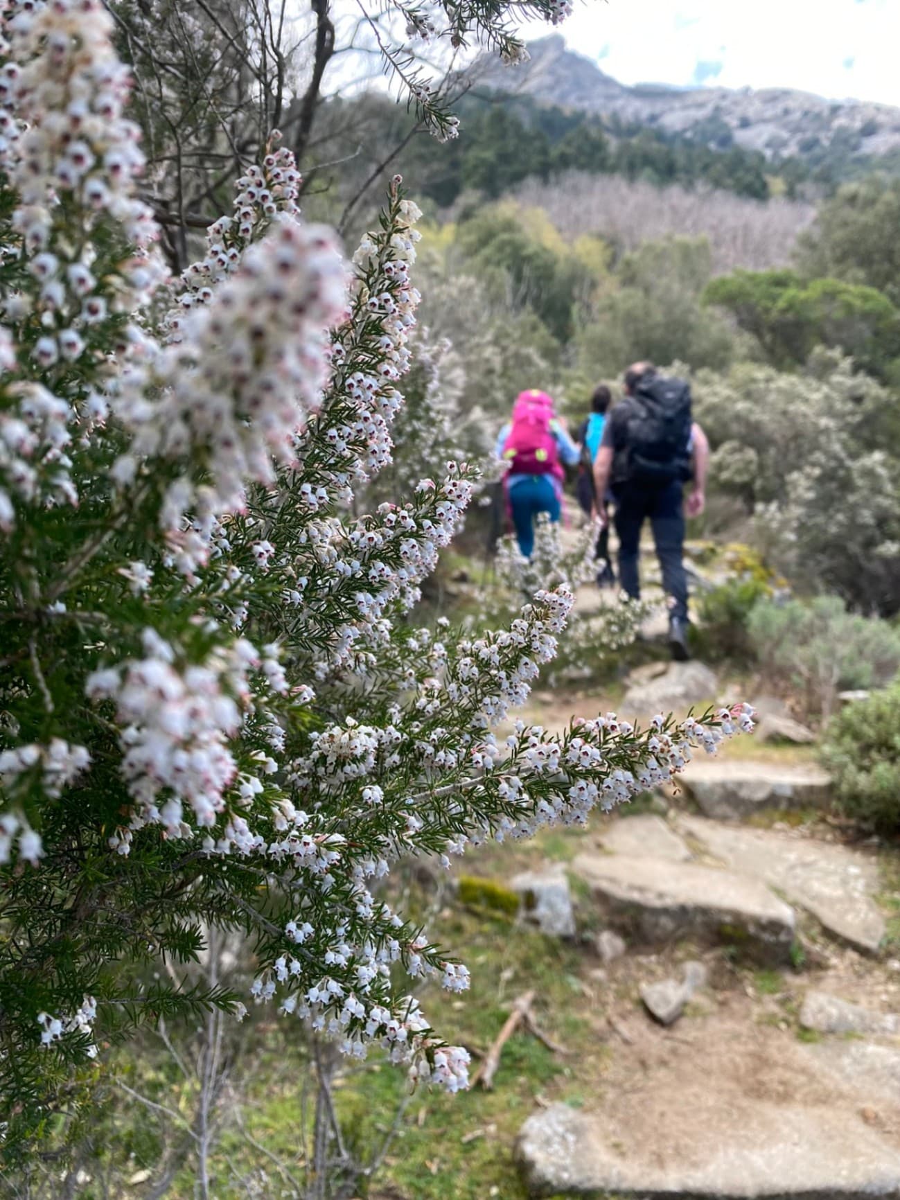 Gallery image isola d'elba