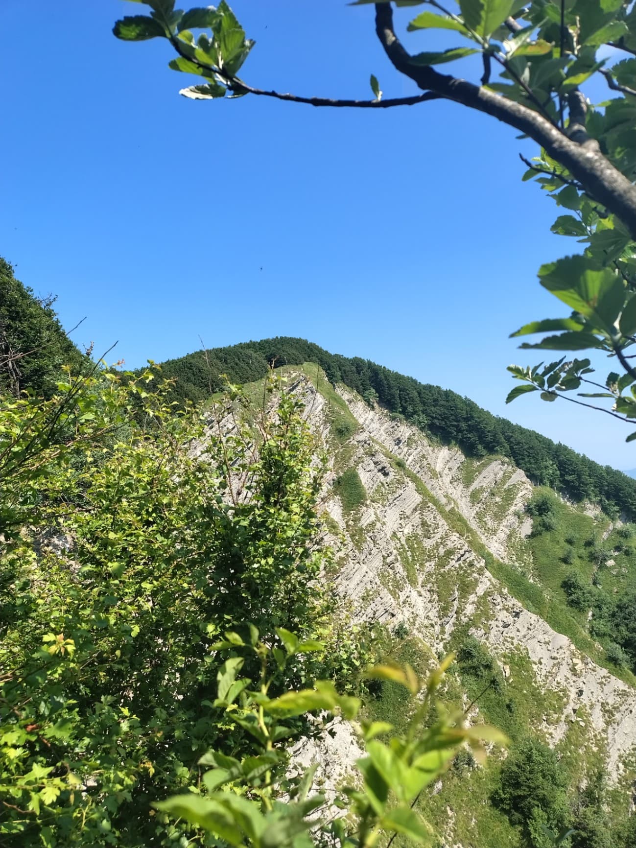 Gallery image alpe della luna