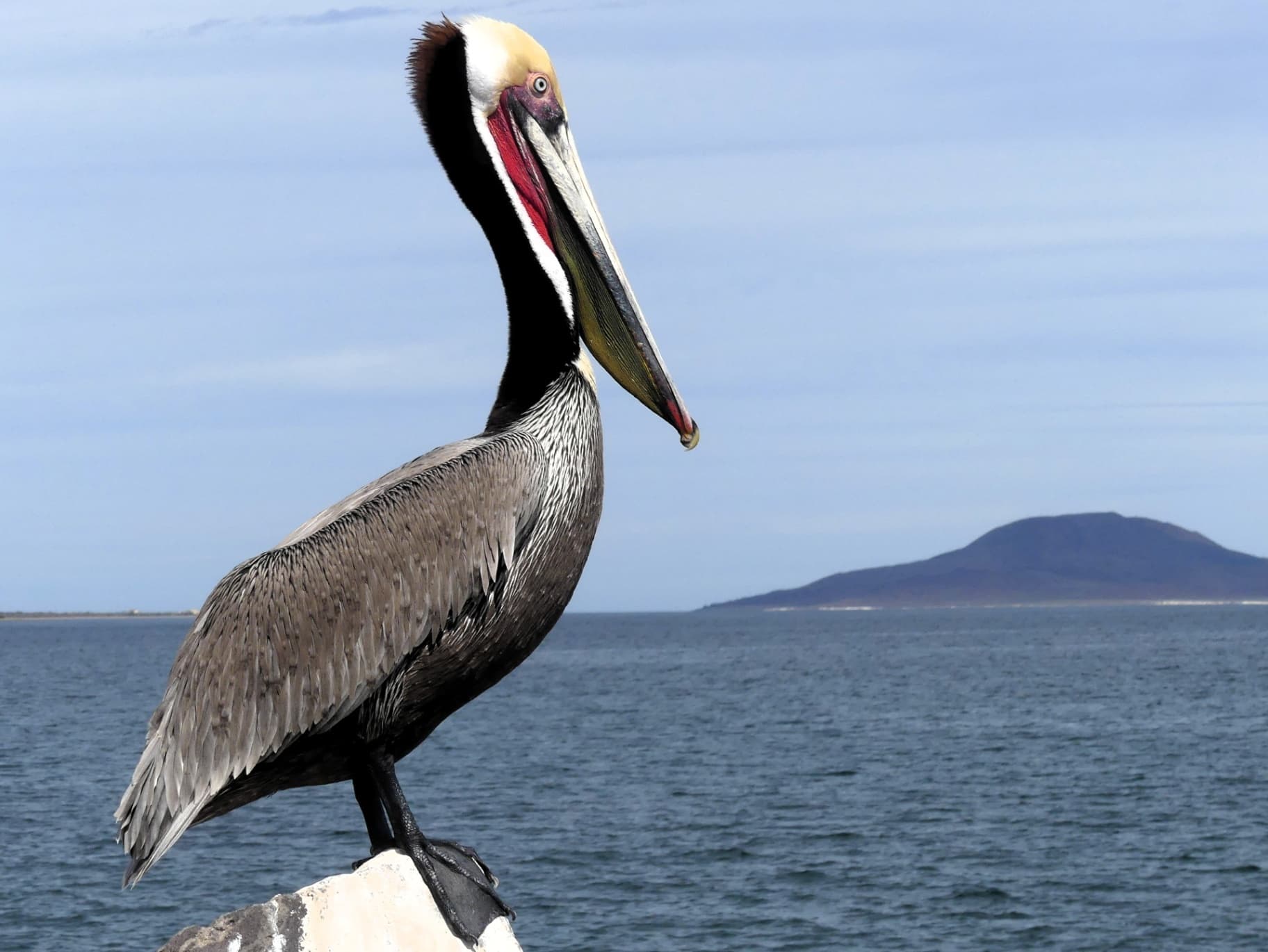 Gallery image baja california